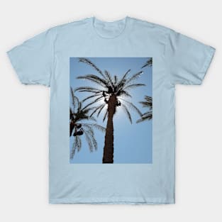 Palm Trees T-Shirt